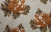 Ткань Harmony 08, 16, 24, 32, 40, 48,Текстильные от  от магазина Обои на стену