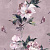 Обои 1838 Camellia 1703-108-02 Madama Butterfly Blush от официального представителя  