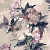 Обои 1838 Camellia 1703-108-01 Madama Butterfly Ivory от официального представителя  