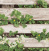 Обои Shinhan Wallcoverings Natural 87020-1 от официального представителя Shinhan Wallcoverings 