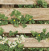 Обои Shinhan Wallcoverings Natural 87020-2 от официального представителя Shinhan Wallcoverings 